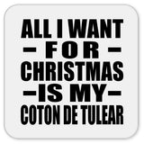 All I Want For Christmas Is My Coton De Tulear - Drink Coaster