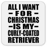 All I Want For Christmas Is My Curly-Coated Retriever - Drink Coaster