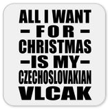 All I Want For Christmas Is My Czechoslovakian Vlcak - Drink Coaster