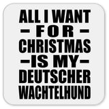 All I Want For Christmas Is My Deutscher Wachtelhund - Drink Coaster
