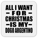 All I Want For Christmas Is My Dogo Argentino - Drink Coaster