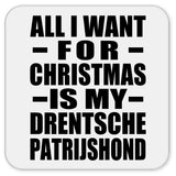 All I Want For Christmas Is My Drentsche Patrijshond - Drink Coaster