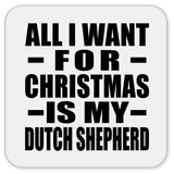 All I Want For Christmas Is My Dutch Shepherd - Drink Coaster
