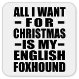 All I Want For Christmas Is My English Foxhound - Drink Coaster