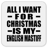 All I Want For Christmas Is My English Mastiff - Drink Coaster