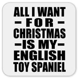 All I Want For Christmas Is My English Toy Spaniel - Drink Coaster