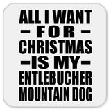 All I Want For Christmas Is My Entlebucher Mountain Dog - Drink Coaster