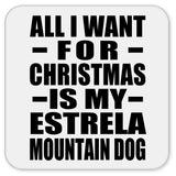 All I Want For Christmas Is My Estrela Mountain Dog - Drink Coaster
