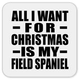 All I Want For Christmas Is My Field Spaniel - Drink Coaster