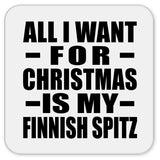 All I Want For Christmas Is My Finnish Spitz - Drink Coaster