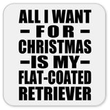 All I Want For Christmas Is My Flat-Coated Retriever - Drink Coaster