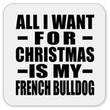 All I Want For Christmas Is My French Bulldog - Drink Coaster