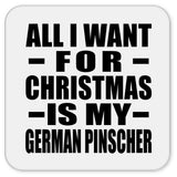All I Want For Christmas Is My German Pinscher - Drink Coaster