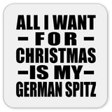 All I Want For Christmas Is My German Spitz - Drink Coaster