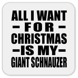 All I Want For Christmas Is My Giant Schnauzer - Drink Coaster