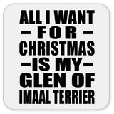 All I Want For Christmas Is My Glen Of Imaal Terrier - Drink Coaster