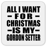 All I Want For Christmas Is My Gordon Setter - Drink Coaster