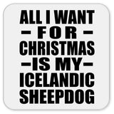 All I Want For Christmas Is My Icelandic Sheepdog - Drink Coaster
