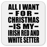 All I Want For Christmas Is My Irish Red And White Setter - Drink Coaster