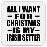All I Want For Christmas Is My Irish Setter - Drink Coaster