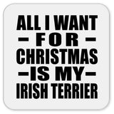 All I Want For Christmas Is My Irish Terrier - Drink Coaster