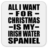 All I Want For Christmas Is My Irish Water Spaniel - Drink Coaster