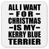 All I Want For Christmas Is My Kerry Blue Terrier - Drink Coaster