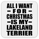 All I Want For Christmas Is My Lakeland Terrier - Drink Coaster