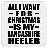 All I Want For Christmas Is My Lancashire Heeler - Drink Coaster