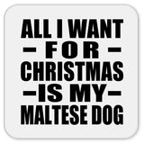 All I Want For Christmas Is My Maltese Dog - Drink Coaster
