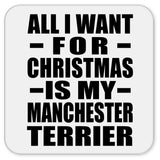 All I Want For Christmas Is My Manchester Terrier - Drink Coaster