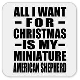 All I Want For Christmas Is My Miniature American Shepherd - Drink Coaster