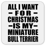All I Want For Christmas Is My Miniature Bull Terrier - Drink Coaster