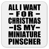 All I Want For Christmas Is My Miniature Pinscher - Drink Coaster