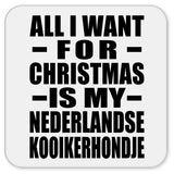 All I Want For Christmas Is My Nederlandse Kooikerhondje - Drink Coaster