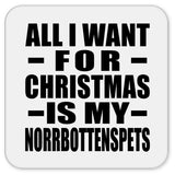 All I Want For Christmas Is My Norrbottenspets - Drink Coaster
