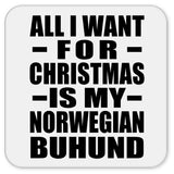All I Want For Christmas Is My Norwegian Buhund - Drink Coaster