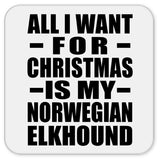 All I Want For Christmas Is My Norwegian Elkhound - Drink Coaster