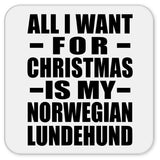 All I Want For Christmas Is My Norwegian Lundehund - Drink Coaster