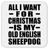 All I Want For Christmas Is My Old English Sheepdog - Drink Coaster