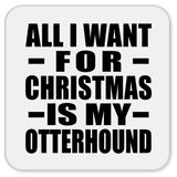 All I Want For Christmas Is My Otterhound - Drink Coaster