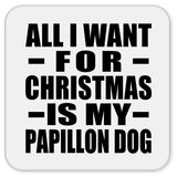 All I Want For Christmas Is My Papillon Dog - Drink Coaster