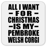 All I Want For Christmas Is My Pembroke Welsh Corgi - Drink Coaster
