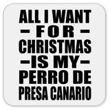 All I Want For Christmas Is My Perro De Presa Canario - Drink Coaster