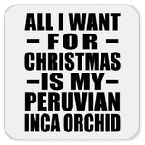 All I Want For Christmas Is My Peruvian Inca Orchid - Drink Coaster