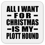 All I Want For Christmas Is My Plott Hound - Drink Coaster