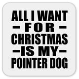 All I Want For Christmas Is My Pointer Dog - Drink Coaster