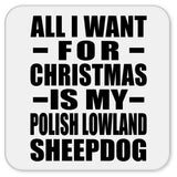 All I Want For Christmas Is My Polish Lowland Sheepdog - Drink Coaster