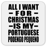 All I Want For Christmas Is My Portuguese Podengo Pequeno - Drink Coaster