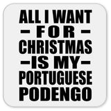 All I Want For Christmas Is My Portuguese Podengo - Drink Coaster